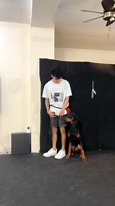 Apollo | Student Update | Dog Trainer Cebu