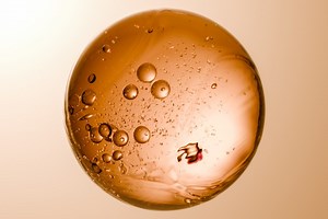 There May Be A 'Third State' Between Life And Death - BGR