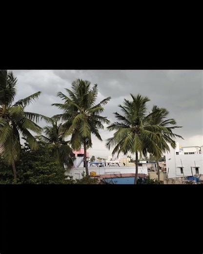 Rain #rain #youtubeshorts #supervibe