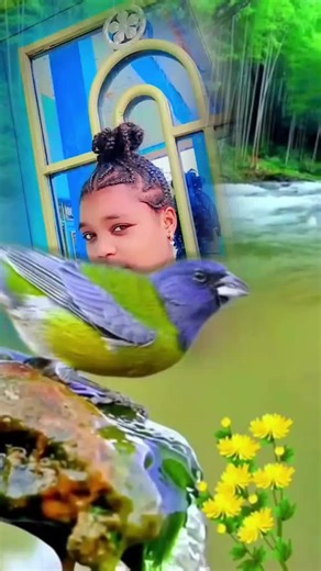 Amarech_fikir (@amarech_fikir)’s videos with original sound - Yeshuwa