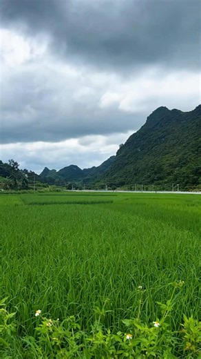 Stunning Longji Rice Terraces in Guangxi | Beautiful China Countryside Views