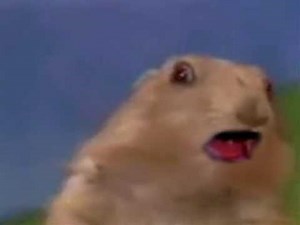 Drama Prairie Dog does dean scream