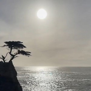 Bringing you inspirational moments until travel can return. Take a moment to soak in the tranquil beauty and peaceful sounds. 📷: @clicks_and_more 📍: Lone Cypress in Pebble Beach, CA | See Monterey