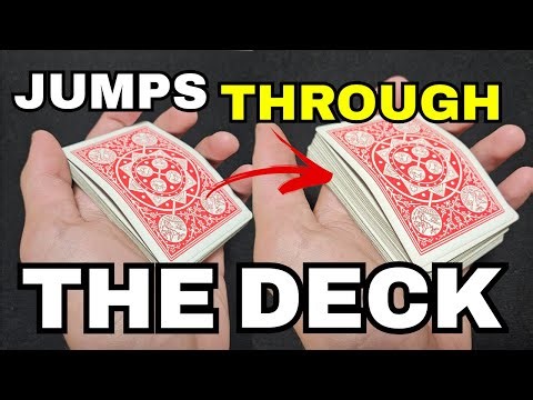 2 BEGINNER Ambitious Card Variations // Sleight Of Hand