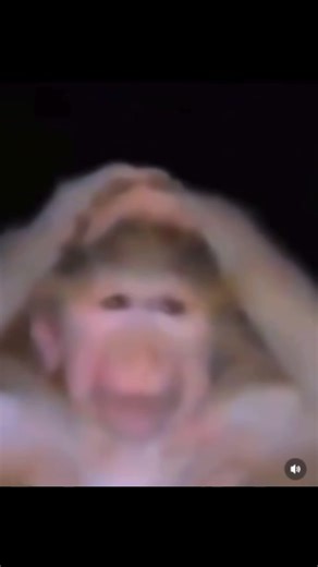 Dandy crazy 🔂😭