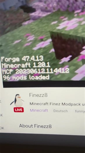 Eigenes Minecraft modpack #minecraft #mods #gaming #live #stream #livestream #twitch #fyp