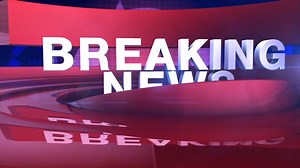 48K views · 128 reactions | Jobs For My CV makes global hiring and...