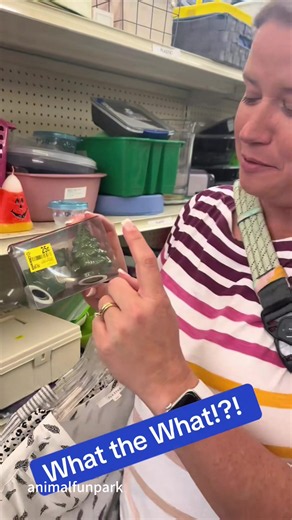 Goodwill USA: Ridiculous Prices Shocking Shoppers
