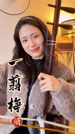 二胡Erhu｜《一剪梅 - 續》A Spray of Plum Blossoms｜Chinese Traditional Instrument Cover｜法國第一王昭君Fangyi_WANG