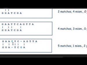 Scoring Matrices
