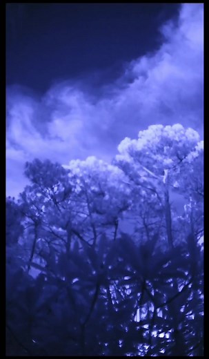 this camera can see invisible light #tiktokpartner #learnontiktok