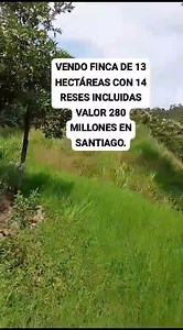 3.4K views · 82 shares | SE VENDE FINCA A TAN SOLO 25 MINUTOS DEL CASCO URBANO DE SANTIAGO NORTE DE SANTANDER POR LA ENTRADA A LAS LAJAS 13 HECTÁREAS Y ENTRAN 14 ANIMALES PRECIO 280,000,000 INFORMES AL 301 7686 154 GENTE SERIE Y CON TIEMPO DISPONIBLE PARA MIRAR EL., parte 5 | Edna Beatriz Murillo | Facebook