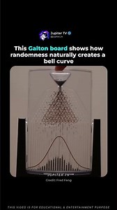How Randomness Creates a Perfect Bell Curve 🎲