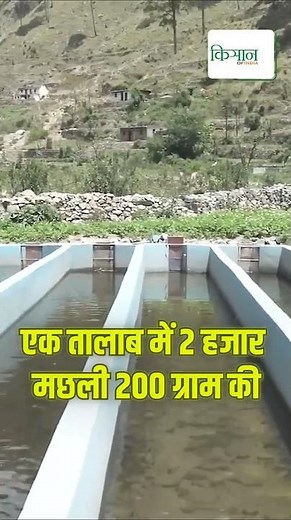 Rainbow Trout Fish Farming की ये हैं विशेषताएं | Kisan of india #shorts