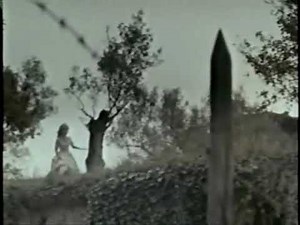 Blood and Roses (1960) Tribute