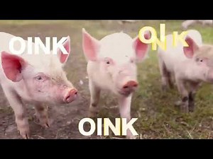 Farm Animal Sounds for Toddlers Toddler Learning Video Educational Speech Videos | Ms Rachel TV