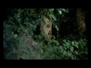 BAD TASTE 1 OF THE BEST SCENE