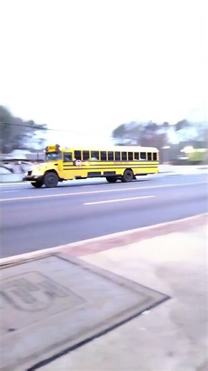 blue bird vision 5 videos in one