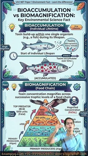 Bioaccumulation vs Biomagnification The Ultimate Confusion 🌍UGC NET Paper 1 #Call - 9998008851