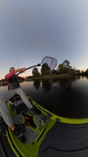 David Dear on Reels