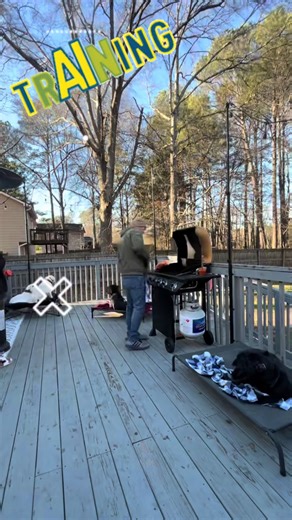 Another successful day of training! “The Don” is showing up & showing out, & the people of Marietta noticed. He received mad love for his handsome features & solid execution. #roadto10k #viral #fyp #trending #creatorsearchinsights