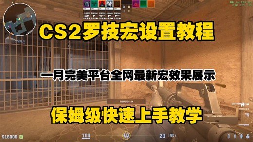 ［CS2］2026年一月全网最新鼠标宏完美平台最新使用教程!支持任意鼠标! 保姆级快速上手教学!最新宏文件分享!