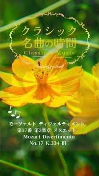 1分クラシック♪ モーツァルト ディヴェルティメント 17-3 #クラシック #名曲 #朝