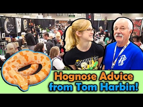 Attending the Craziest Reptile Show Ever in Arlington, Texas!