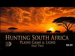 HUNTING SOUTH AFRICA | Plains Game & Lions | Part Two | White Lion Safaris