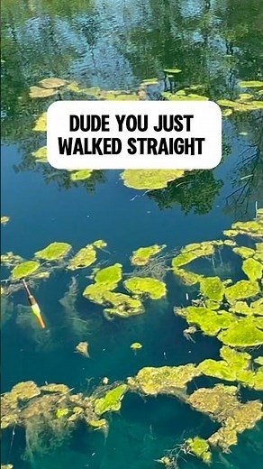 The FASTEST Way To Find Fish In ANY Pond! 🎣 #shorts #fishing
