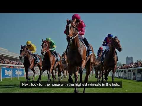 Two Factor Horse Racing System