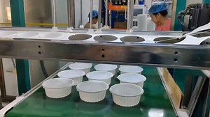 Plastic Blue Mushroom Punnet Packaging Tray Mushroom Plastic PP Trays for Packing Mushrooms