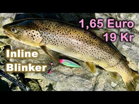Billige Inline Blinker von Kinetic für Meerforelle - Köder-Test Review