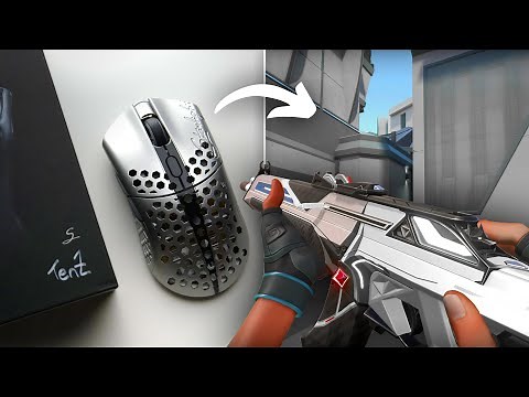 TenZ's Finalmouse gave me his aim