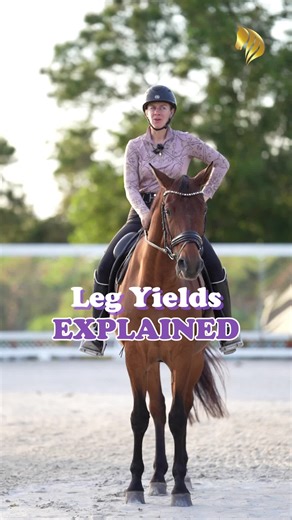 Mastering Leg Yields in Dressage Riding Techniques