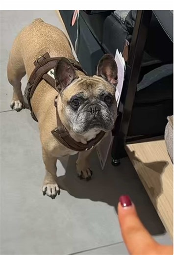 Pourquoi j'adore Maxi Zoo France !