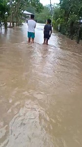 160 reactions · 20 shares | Purok 3 rizal roxas isabela Bahana #highlights2025 #RoxasIsabela | Pakol Vlog | Facebook