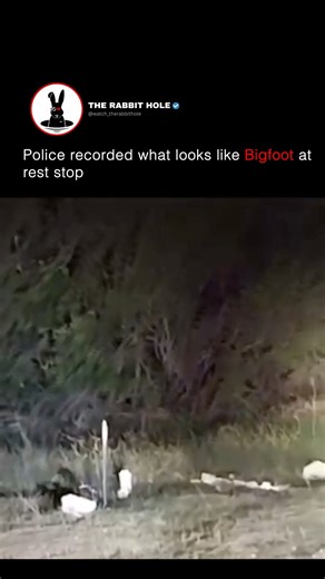 Police recorded what looks like Bigfoot at rest stop | The Rabbit Hole