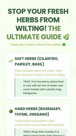 Stop Your Fresh Herbs From Wilting! The Ultimate Guide 🌿 | META_DESIGN...