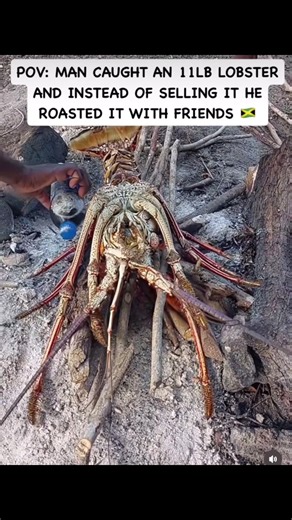 World’s Biggest Crab Caught: Sell or Keep?