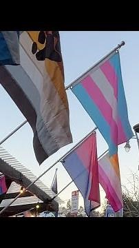 Transgender community braces as Trump heads back to White House | USA TODAY