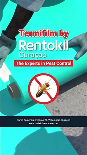 Prevent Termites Before You Build | Termifilm by Rentokil Curaçao🏗️🐜