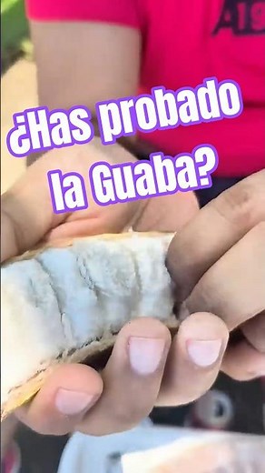 Have you tried guaba? 🇨🇷 Exotic fruit from Costa Rica #shortsfood #costarica #exoticfruit