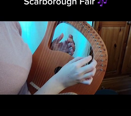 Beautiful Lyre Harp Cover of Scarborough Fair