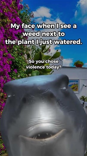 gardening memes