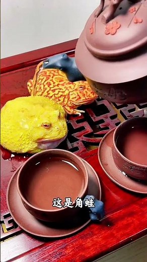 Here are 15 types of frogs for popular science. See which one you know#Frog#Protect animal