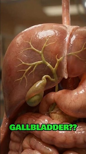 What If You Didn’t Have a Gallbladder?