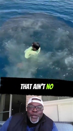 THATS not a pet its a wild animal