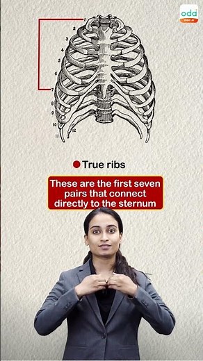 For students in class 1-10, Study Maths and Science with IIT Teachers, To Be Topper in exam