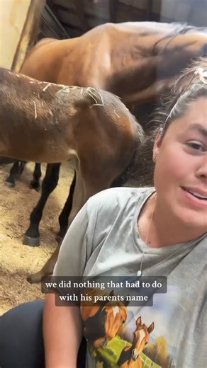 Help me name Daphne!🐴 | Katie Van Slyke